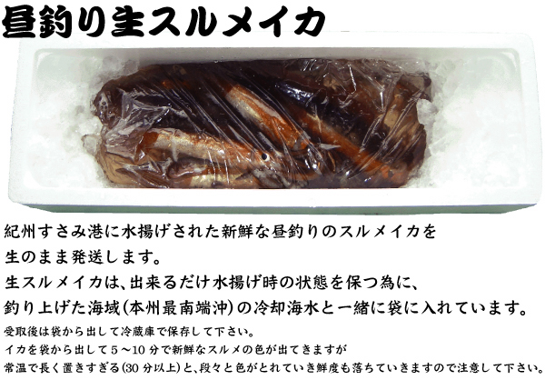 �y���ނ萶�X�����C�J�z�I�B�����ݍ`�ɐ��g�����ꂽ�V�N�Ȓ��ނ�̃X�����C�J�𐶂̂܂ܔ������܂��B ���X�����C�J�́A�o���邾�����g�����̏�Ԃ�ۂׂɁA�ނ�グ���C��i�{�B�œ�[���j�̗�p�C���ƈꏏ�ɑ܂ɓ���Ă��܂��B����͑܂���o���ė①�ɂŕۑ����ĉ������B�C�J��܂���o���ĂT�`10���ŐV�N�ȃX�����̐F���o�Ă��܂����퉷�Œ����u��������i30���ȏ�j�ƁA�i�X�ƐF���Ƃ�Ă����N�x�������Ă����܂��̂Œ��ӂ��ĉ������B